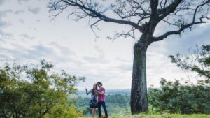 Travel threetrees com vn: The Allure of Travel Three Trees